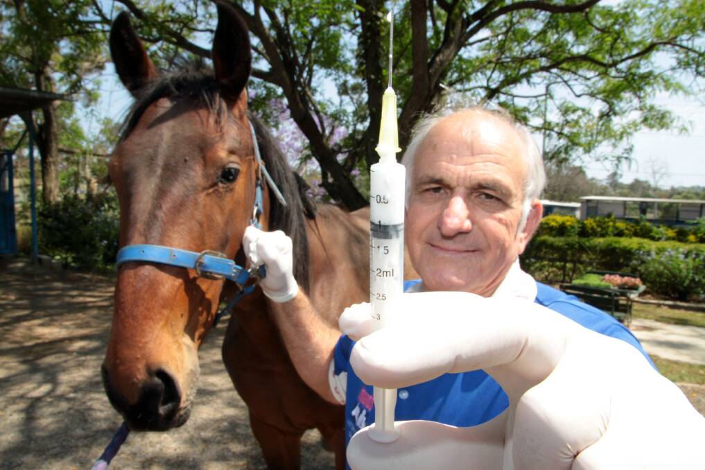 Fighting against Hendra virus . . . David Lovell from Redlands Veterinary Clinic is urging horse owners to vaccinate their horses with the Hendra virus vaccine. Photo by Chris McCormack