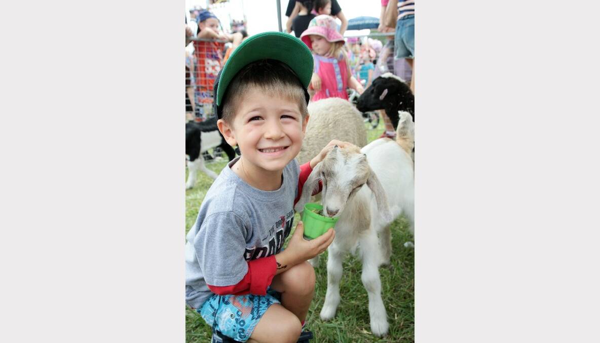 Eight Mile Plains local Jack DeBrenni, 4, took time out with some friendly animals in the free petting zoo.
