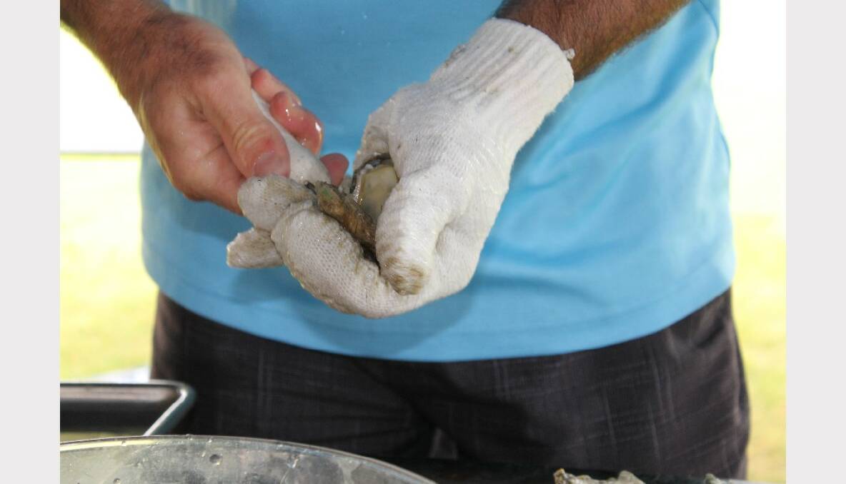 Greg Nankervis shows how to open (shuck) 30 oysters in the Bayside Bulletin oyster shucking competition.   