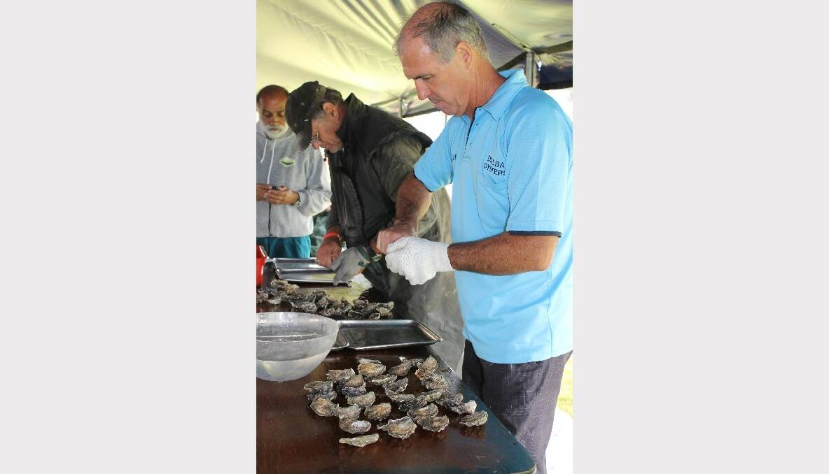 Greg Nankervis shows how to open (shuck) 30 oysters in the Bayside Bulletin oyster shucking competition.  