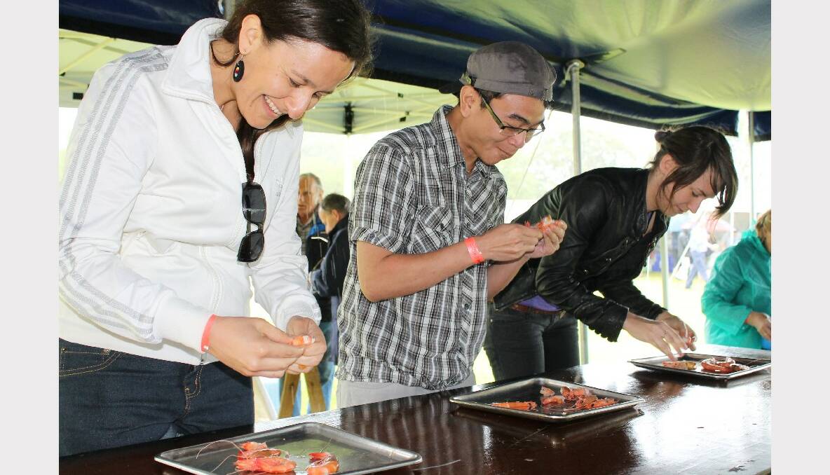 Prawn peeling and eating at Straddie Oyster Festival at Dunwich 