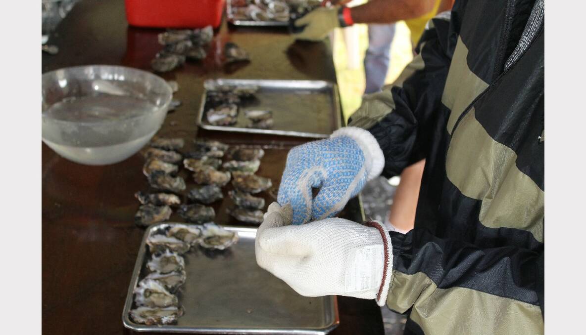 Oyster shucking competition heat.